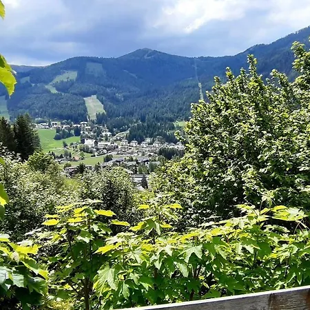 Kraabichl Sunshine *