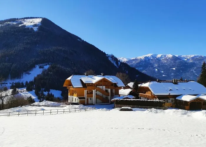 Kraabichl Sunshine *